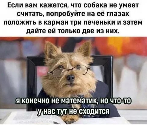 ������� ������� �������� � ����� (30 ����)