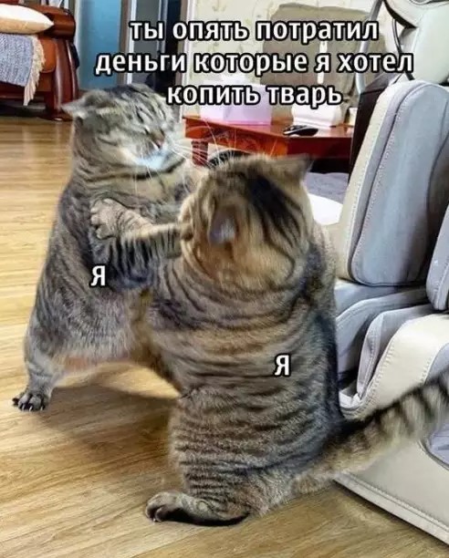 ������� ������� �������� � ����� (30 ����)