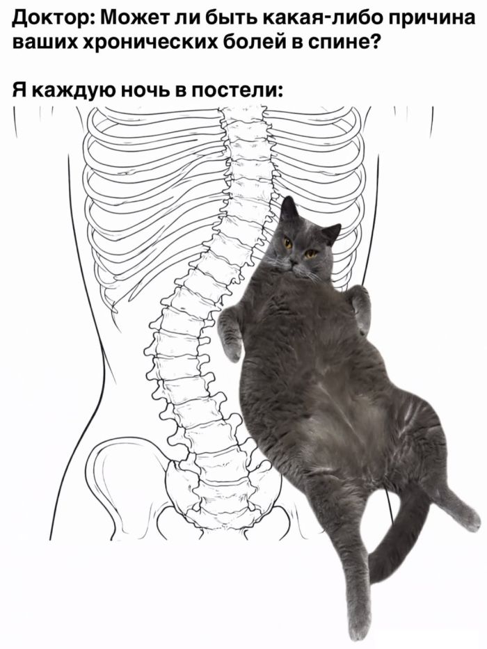 ������� ������� �������� � ����� (30 ����)