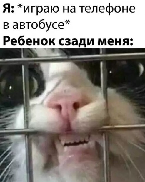 ������� ������� �������� � ����� (30 ����)