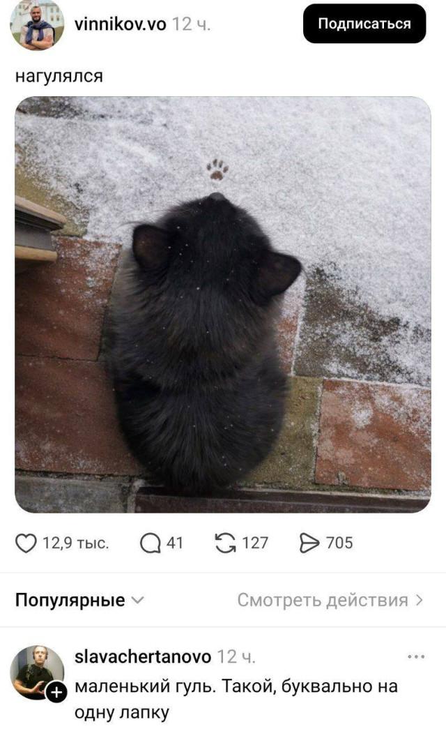 ���������! �������� �������� ��� ���������� (30 ����)