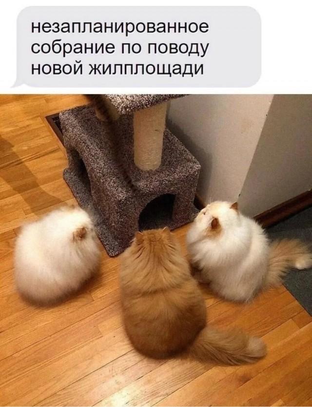 ���������! �������� �������� ��� ���������� (30 ����)