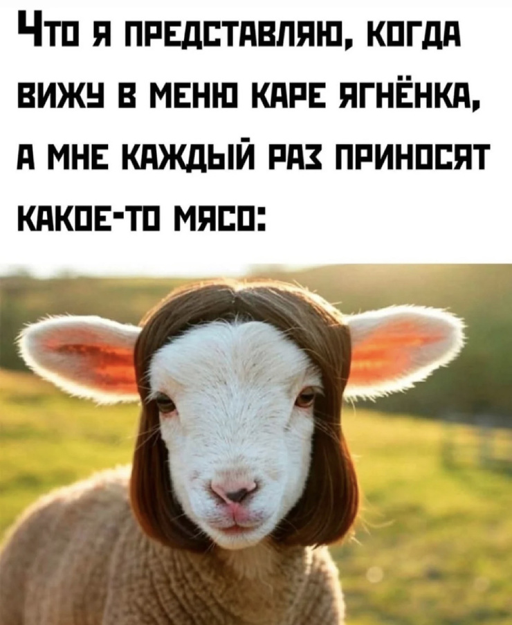 ���������! �������� �������� ��� ���������� (30 ����)