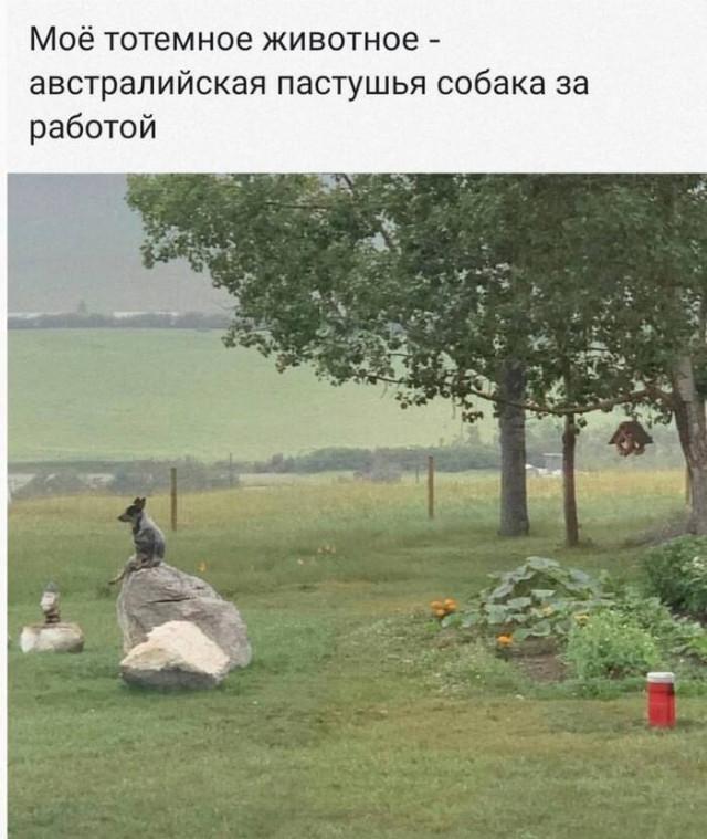 ���������! �������� �������� ��� ���������� (30 ����)