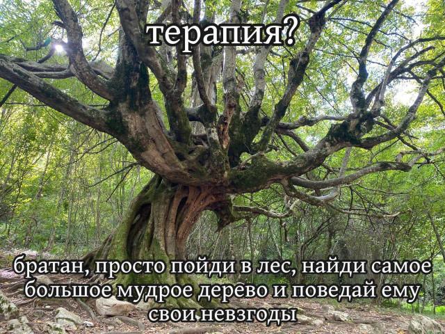 ���������! �������� �������� ��� ���������� (30 ����)