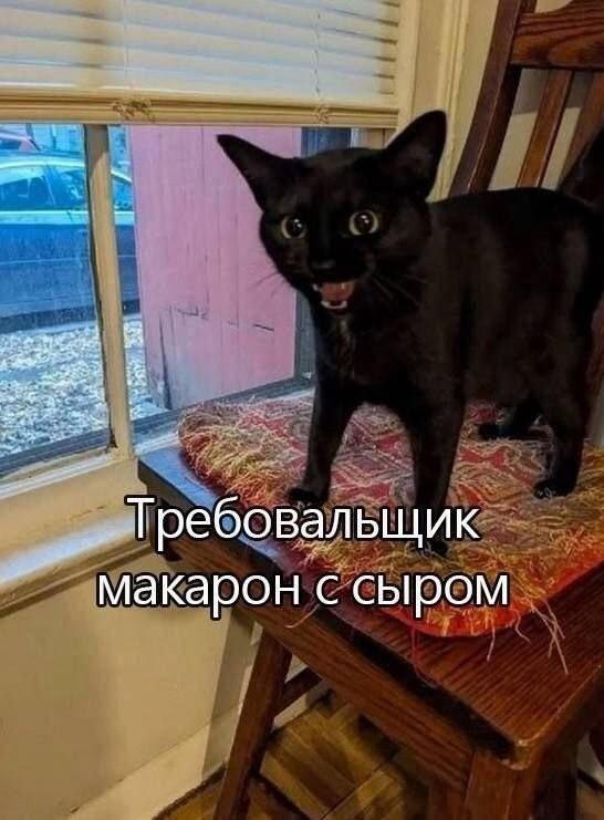 ���������! �������� �������� ��� ���������� (30 ����)