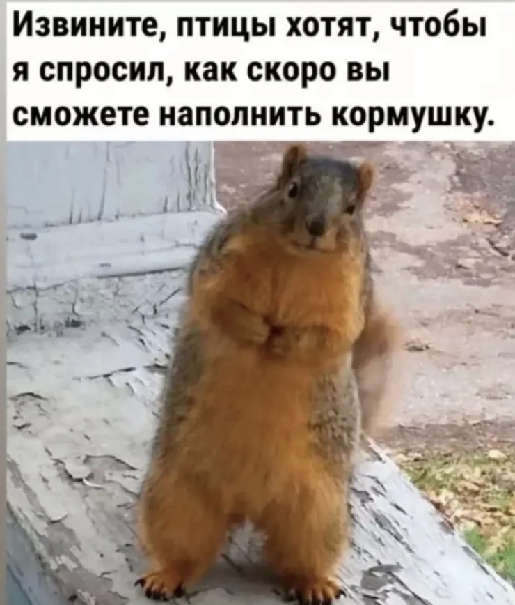 ������ ���� � ������� ��� �������� ���������� (20 ����)