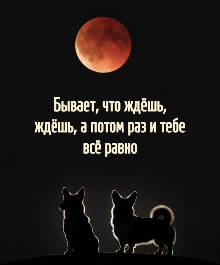 ������ ���� � ������� ��� �������� ���������� (20 ����)