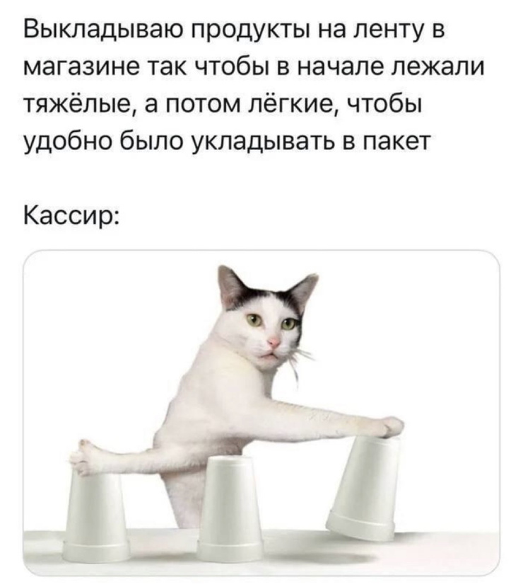 ������ ���� � ������� ��� �������� ���������� (20 ����)