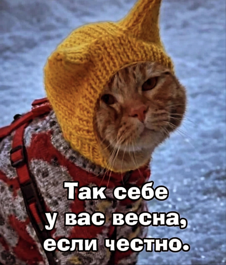 ������ ���� � ������� ��� �������� ���������� (20 ����)