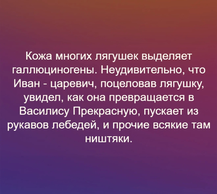 ������ ���� � ������� ��� �������� ���������� (20 ����)