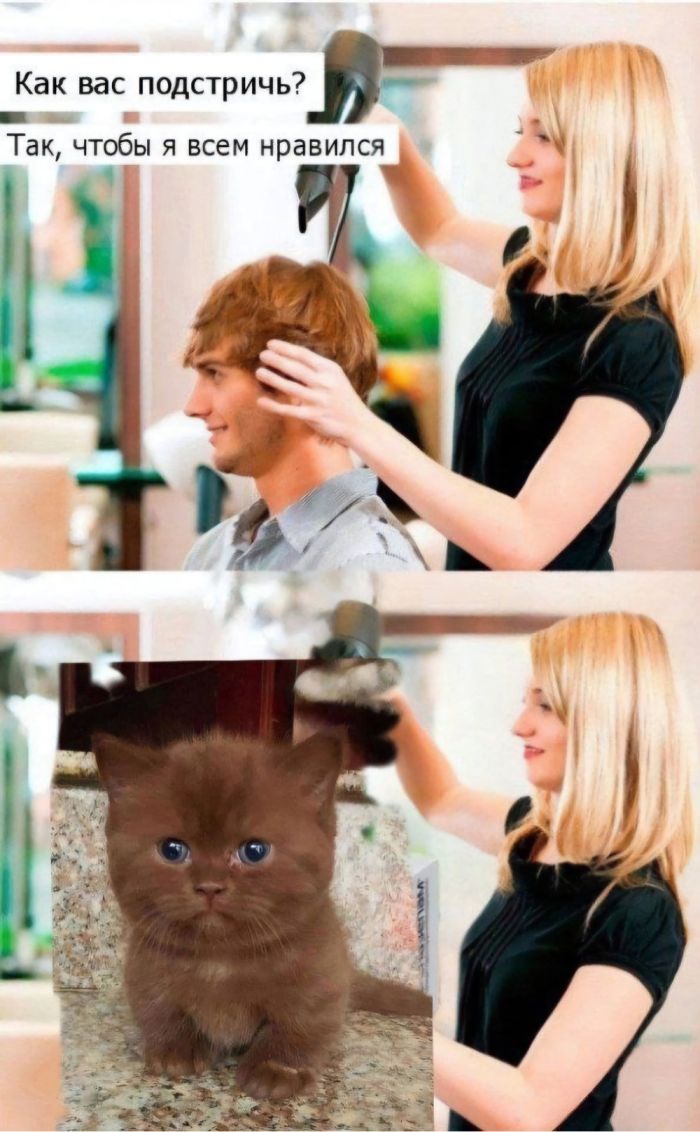 ������ ���� � ������� ��� �������� ���������� (20 ����)