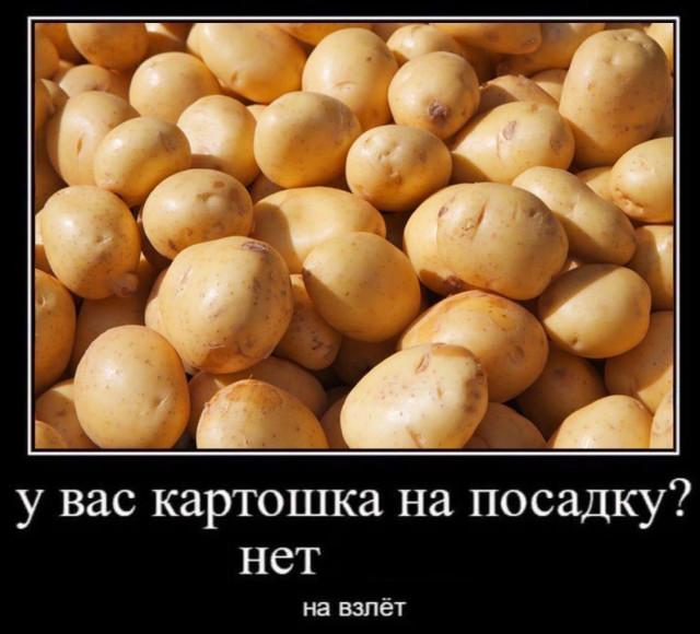 ������������ ������������ (18 ����)