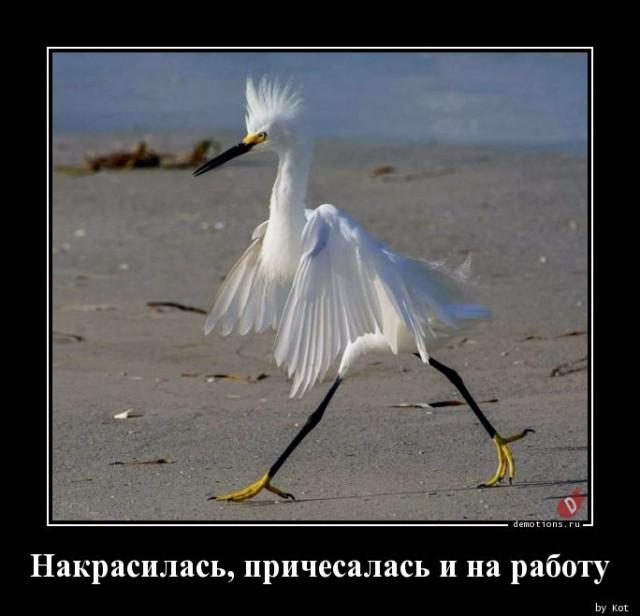 ������������ �������� (18 ����)