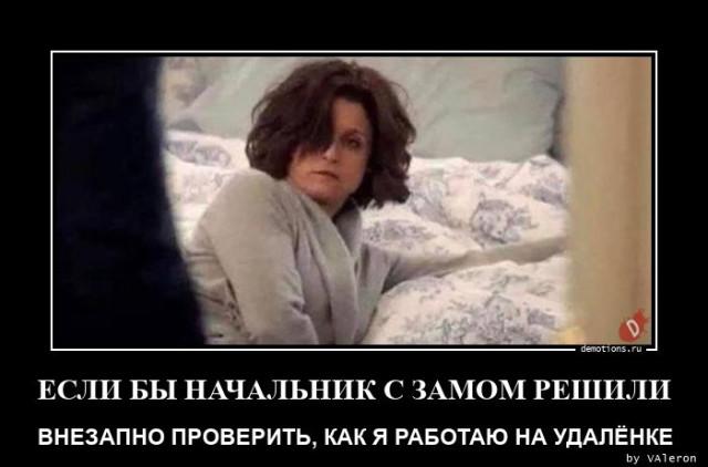 ������������ �������� (18 ����)