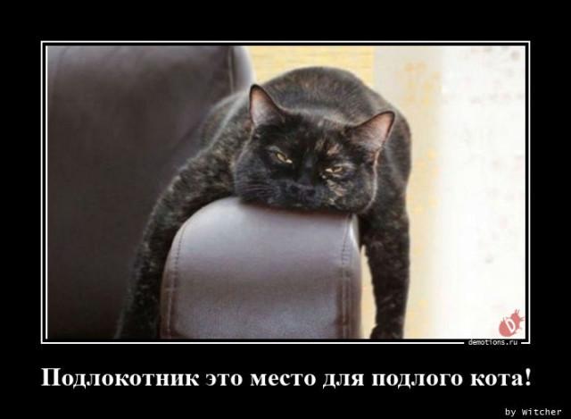 ������������ �������� (18 ����)