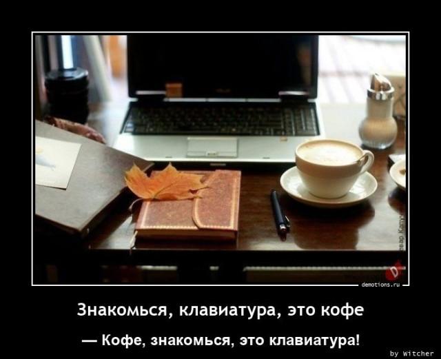 ������������ �������� (18 ����)