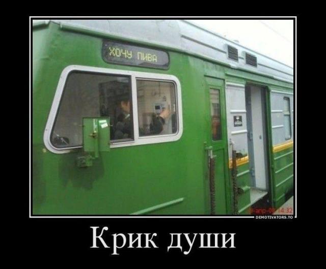 ������������ �������� (18 ����)