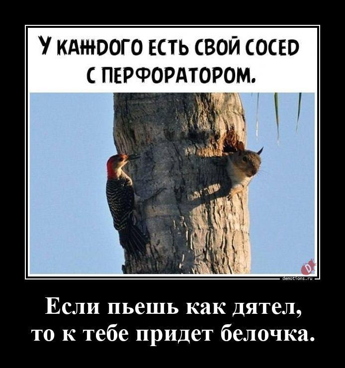 ������������ �������� (18 ����)