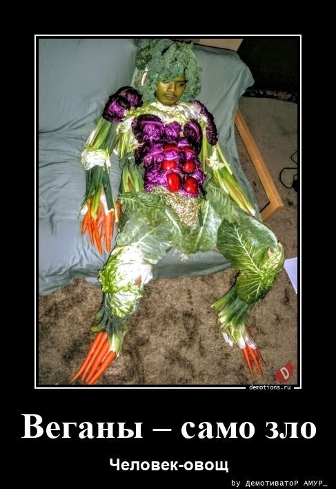 ������������ ����� (20 ����)