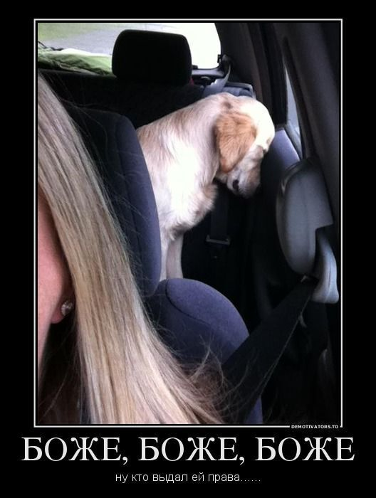 ������������ ����� (20 ����)