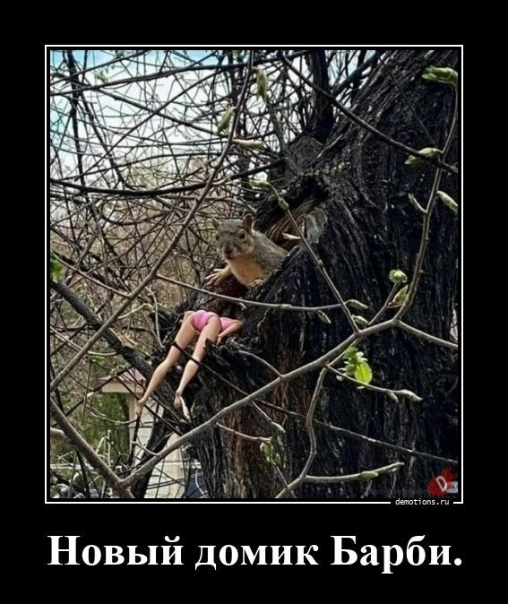 ������������ ����� (20 ����)