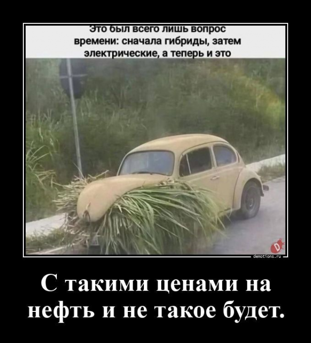 ������������ ����� (20 ����)