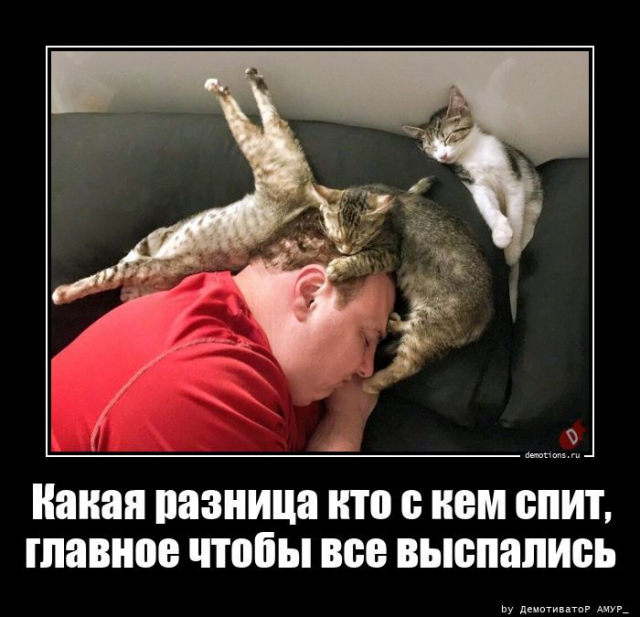 ������������ ����� (20 ����)