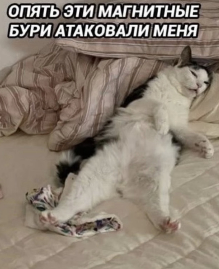 ���������! ������ ���� � ������� ��� (25 ����)