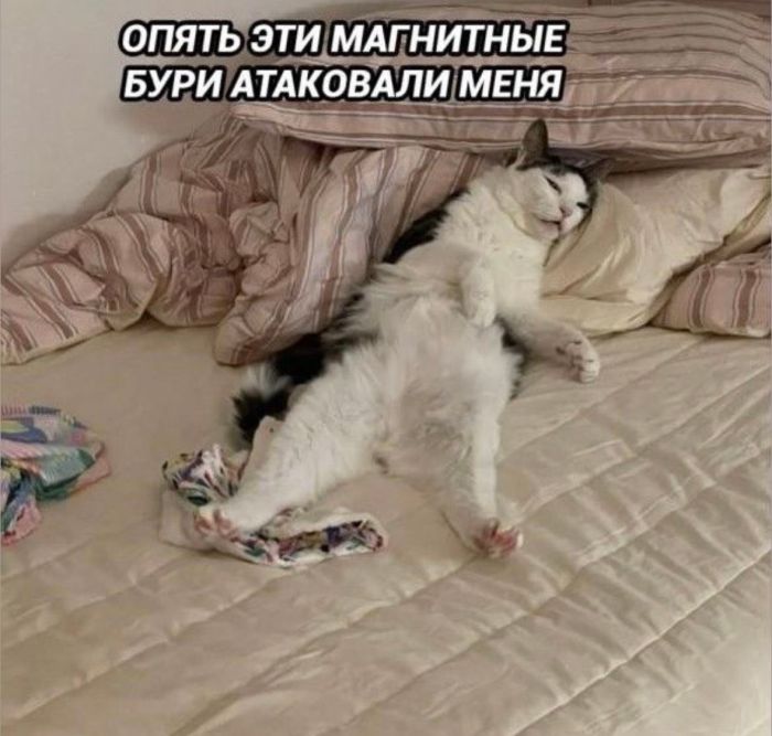 �������� ����� � �������� ��� ���������� (28 ����)