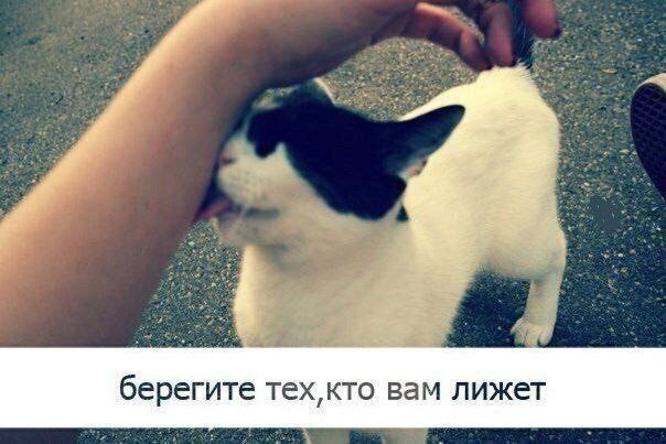 �������� ����� � �������� ��� ���������� (28 ����)