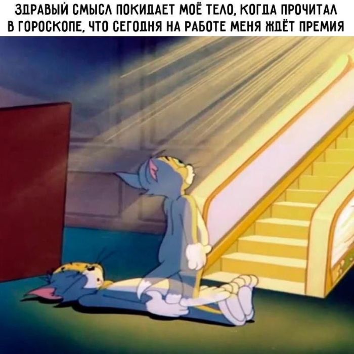 �������� ����� � �������� ��� ���������� (28 ����)