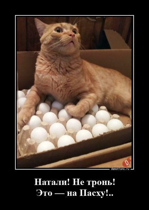 ������������ �������� (20 ����)