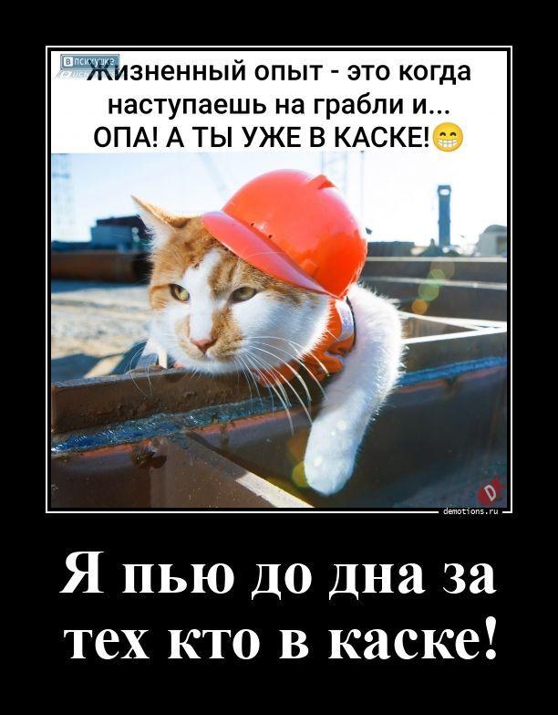 ������������ �������� (20 ����)