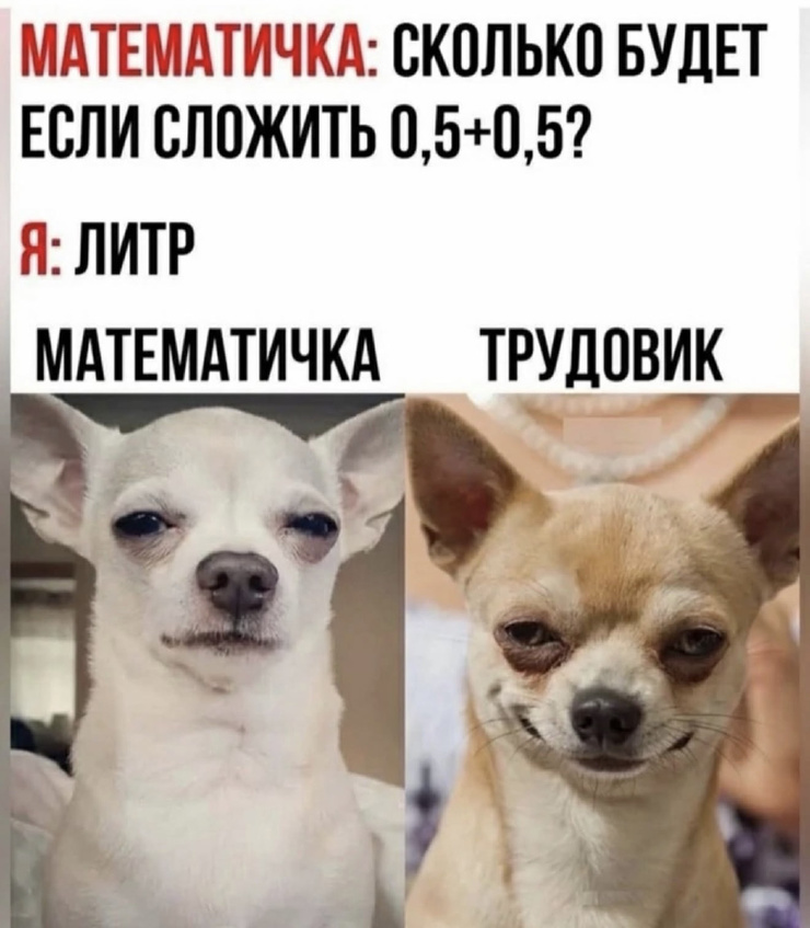 ������� ������� � ���� ��� ���������� (20 ����)