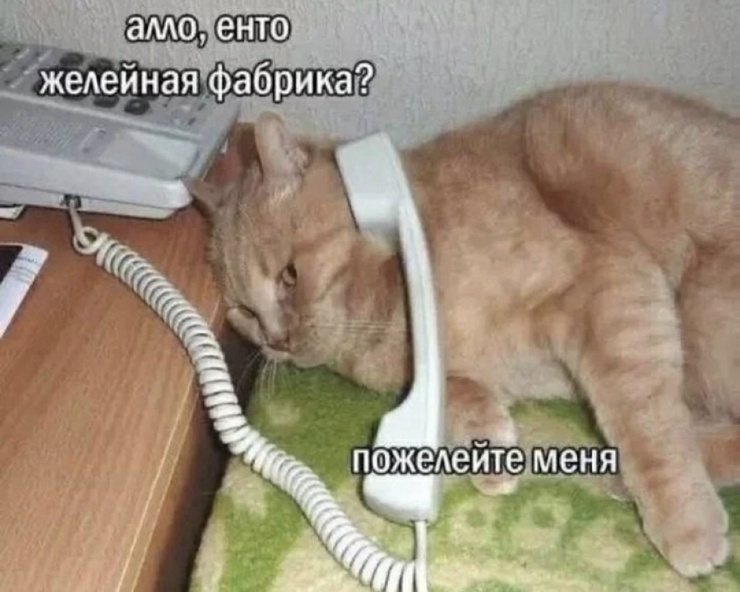 ������� ������� � ���� ��� ���������� (20 ����)