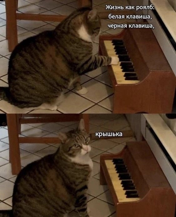 �������� ����� � �������� �� ���� (35 ����)