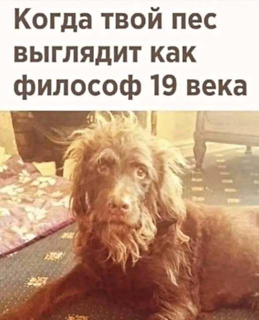 �������� ����� � �������� �� ���� (35 ����)