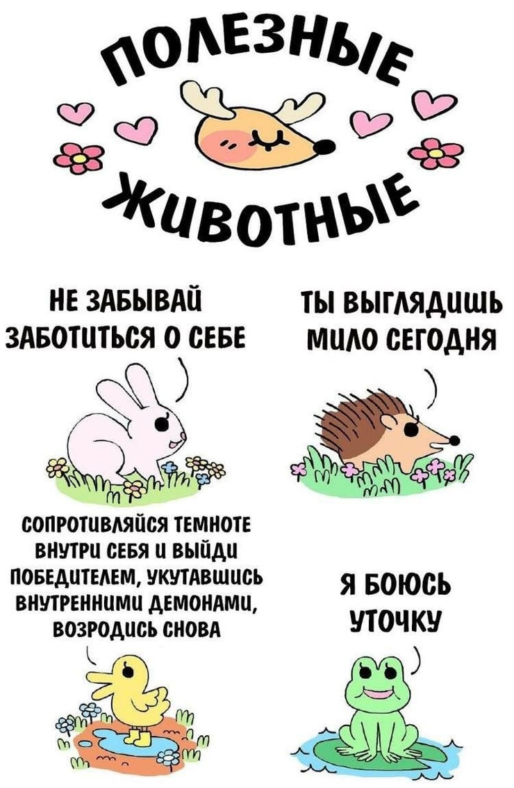 �������� ����� � �������� �� ���� (35 ����)