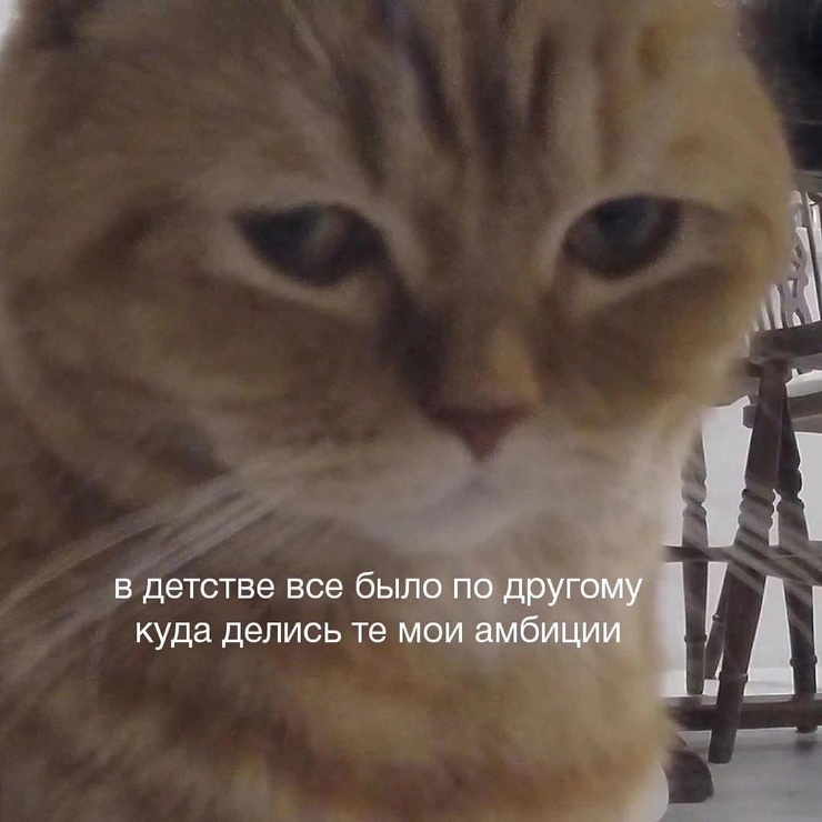 �������� ����� � �������� �� ���� (35 ����)