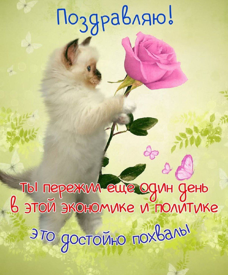 �������� ����� � �������� �� ���� (35 ����)