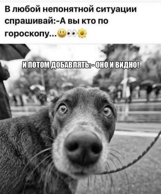 �������� ����� � �������� �� ���� (35 ����)