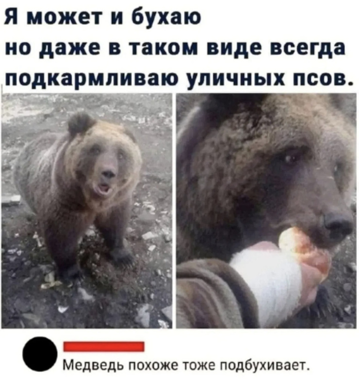 ������� ���� � ������� �� ���� (33 ����)