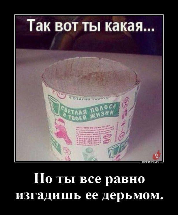 ������������ ����� (20 ����)