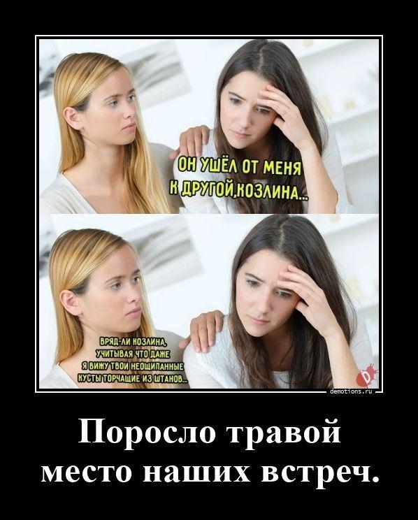 ������������ ����� (20 ����)