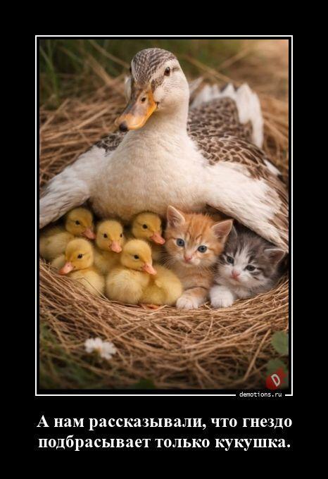 ������������ ����� (20 ����)