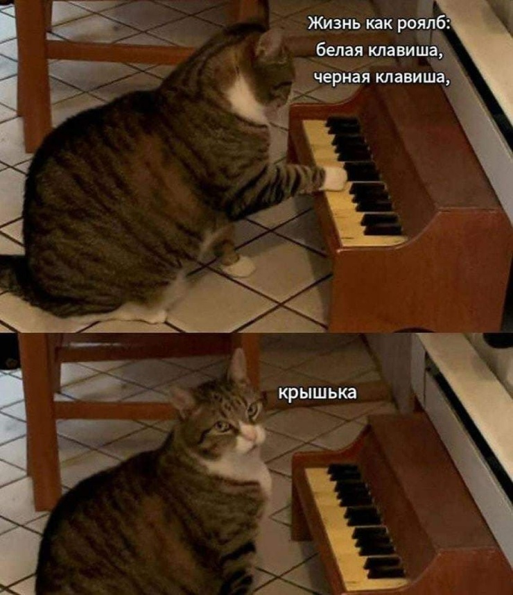 ������ ���� � ������� ��� ���������� (27 ����)