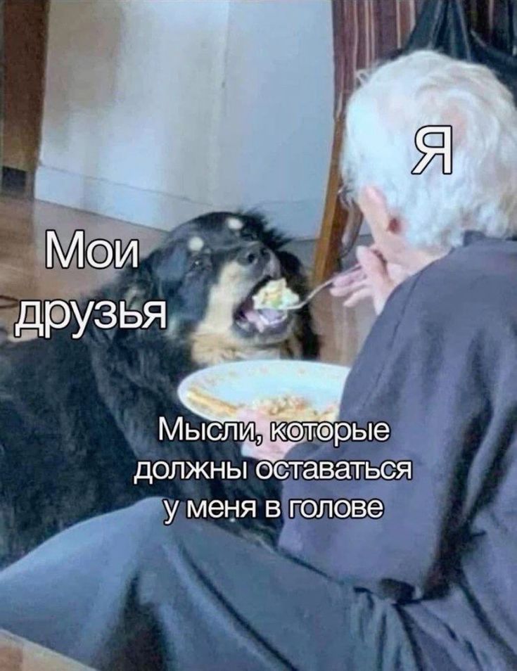 ������ ���� � ������� ��� ���������� (27 ����)