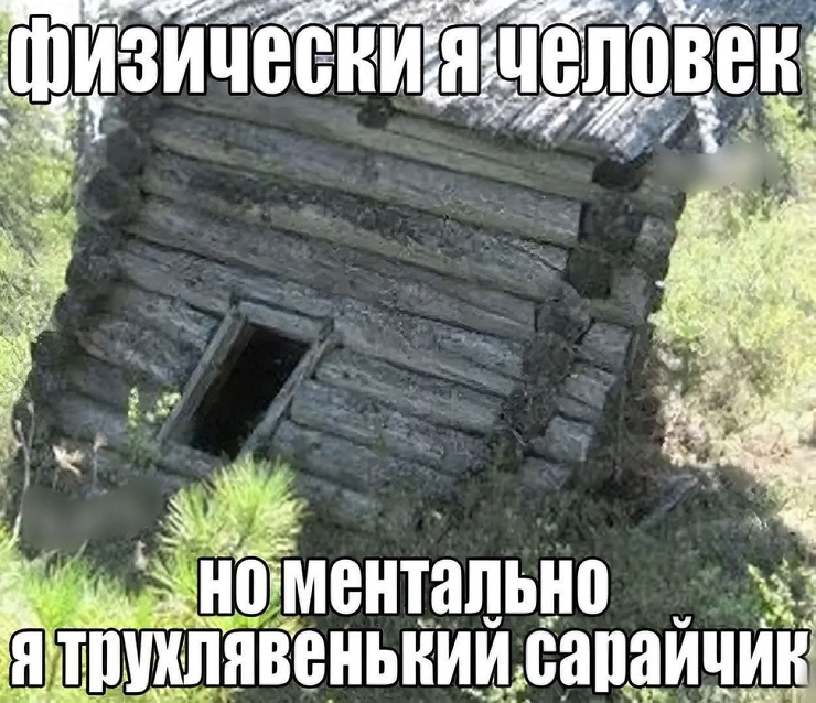 ������ ���� � ������� ��� ���������� (27 ����)