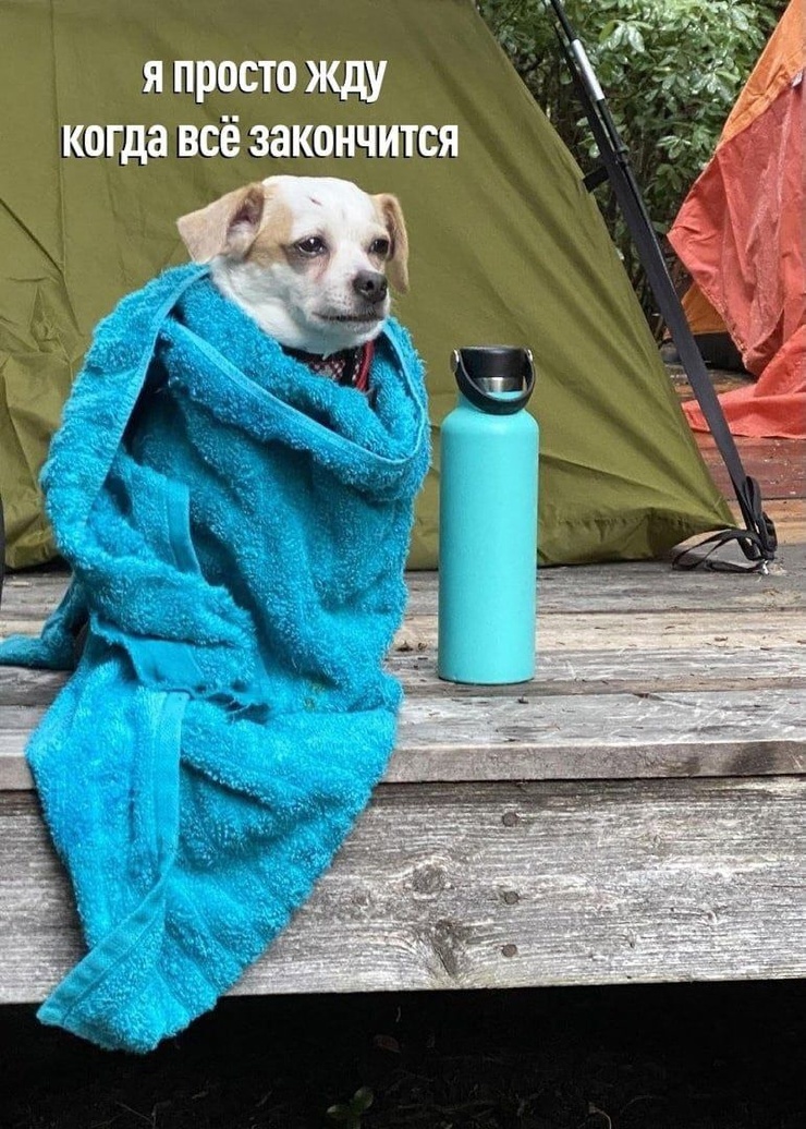 ������ ���� � ������� ��� ���������� (27 ����)